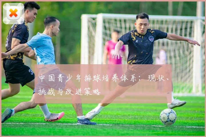 中国青少年排球培养体系:现状、挑战与改进策略